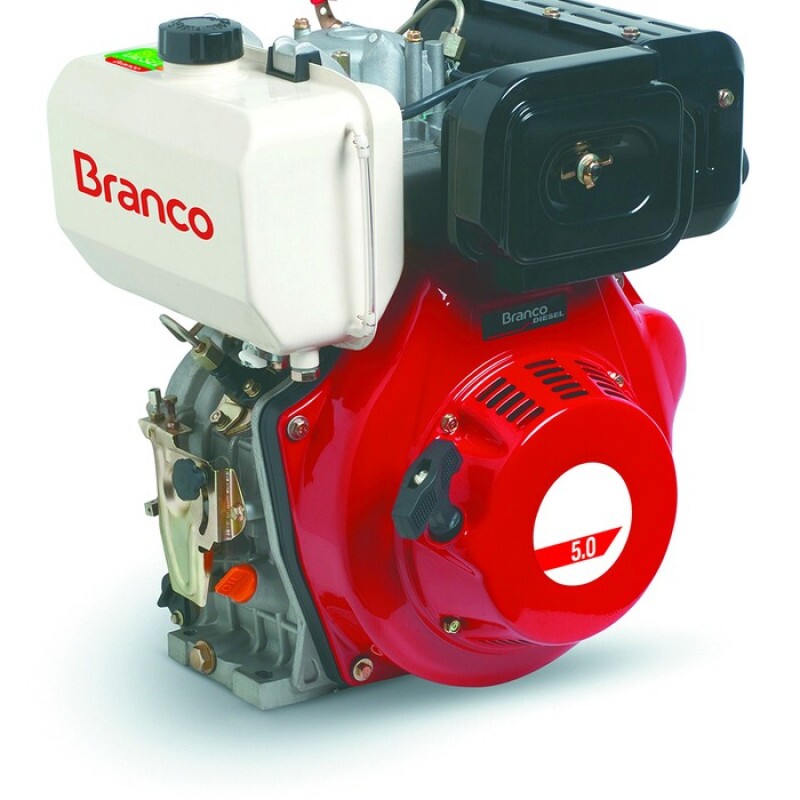 MOTOR DIESEL BD-7.0 7 CV PARTIDA ELÉTRICA EIXO HP.E 90313773 (BRANCO)